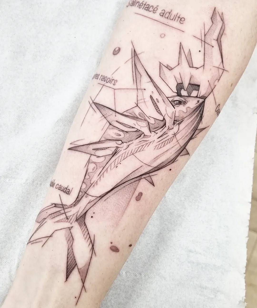 Tatouage détaillé professionnel par Vincent - Lemon Tattoo Castelnau-le-Lez
